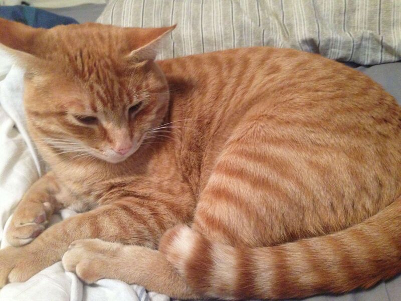 File:Earl.jpg