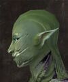 Exclusive face - sylvari male 4 side.jpg
