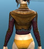Heavy Corsair Jerkin back.jpg
