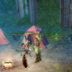 Lighting Echovald location 45.jpeg