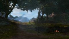 Nemeton Grove.jpg
