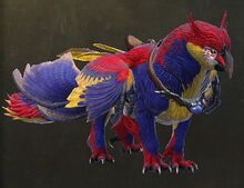 Sunrise Macaw.jpg