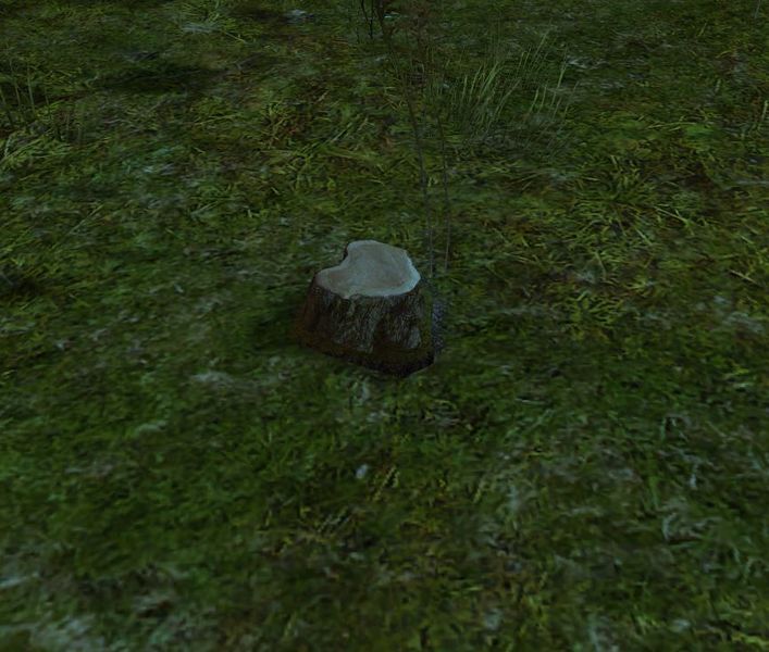 File:Tree Stump.jpg
