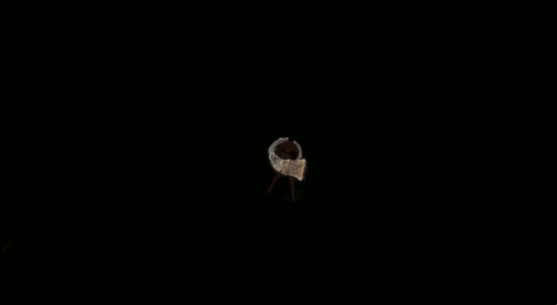 File:Verdarach draw animation.gif
