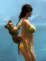 Brill back.jpg
