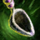 Carved Bone Spoon.png