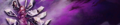 Thumbnail for version as of 04:03, 6 July 2022