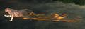 Projectile effect.