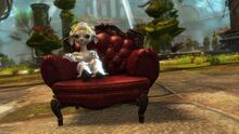 Club Chair promo.jpg