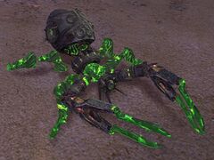 Jade Crab Bot.jpg