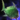 Seaweed-Cutting Scythetail