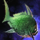 Seaweed-Cutting Scythetail.png