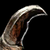 Sharp Claw.png