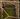 Whispering Caverns map.jpg