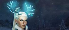 Winter Antlers Set banner.jpg