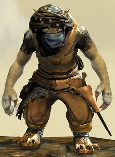 Corsair armor (medium) charr female front.jpg