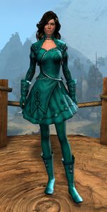 Appearance on light armor.