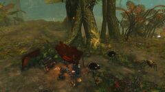 Deserted Inquest Camp.jpg