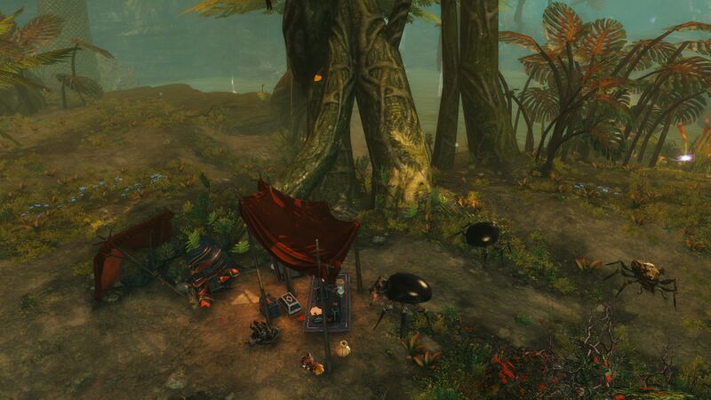 File:Deserted Inquest Camp.jpg