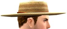 Flat Boatsman Hat side.jpg