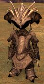Medium armor professions of asura