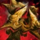 Gold Fractal Mace.png