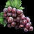 Grape.png
