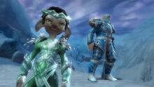 Jormag Dye Kit promo.jpg