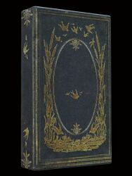Kodan Book- Glittering Gold.jpg