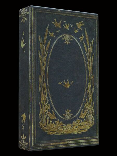 File:Kodan Book- Glittering Gold.jpg