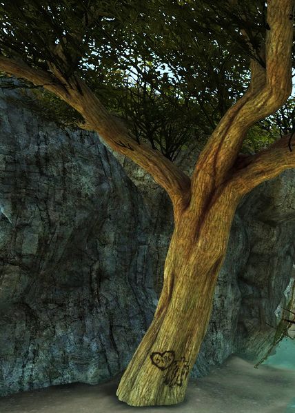 File:Lovers' Tree.jpg