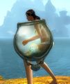Thumbnail for version as of 23:24, 21 November 2016