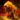 Mini Lava Elemental.png