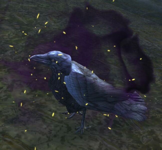 File:Raven (Sickly).jpg