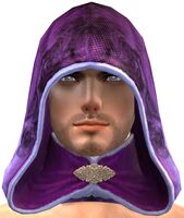 Villainous Hood.jpg