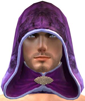 Villainous Hood.jpg
