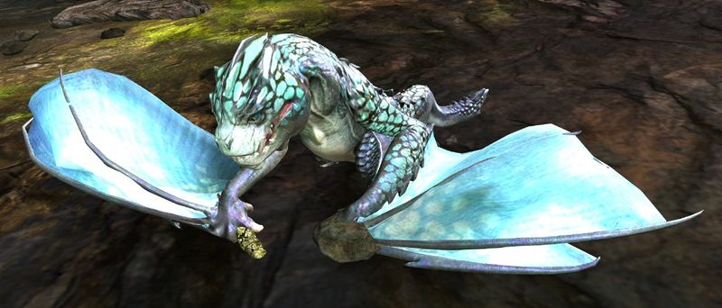File:Wyvern Hatchling.jpg
