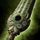 Ancient Boreal Sword.png
