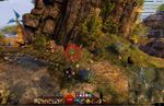 Carrot Collector 23 map.jpg