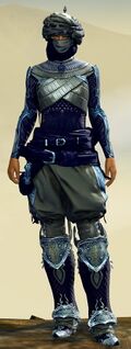 Corsair armor (heavy) norn female front.jpg