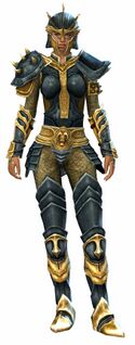 Heritage armor (heavy) norn female front.jpg