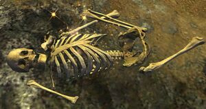 Remains (Draithor's Demesnes).jpg