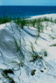 Thumbnail for version as of 21:57, 5 February 2008