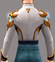 Acclaimed Militia Chestpiece back.jpg