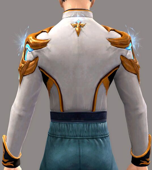 File:Acclaimed Militia Chestpiece back.jpg