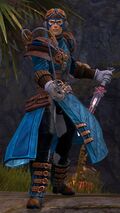 Aetherblade Swashbuckler (male 2).jpg