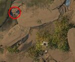 Bag of Shinies map.jpg