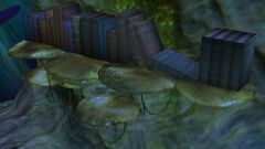 Bookshelf (The Grove).jpg