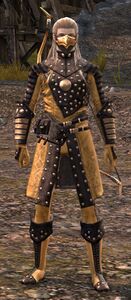 Ebon Vanguard Archer M2.jpg