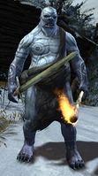 Jotun torch.jpg